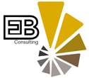 EB Consulting